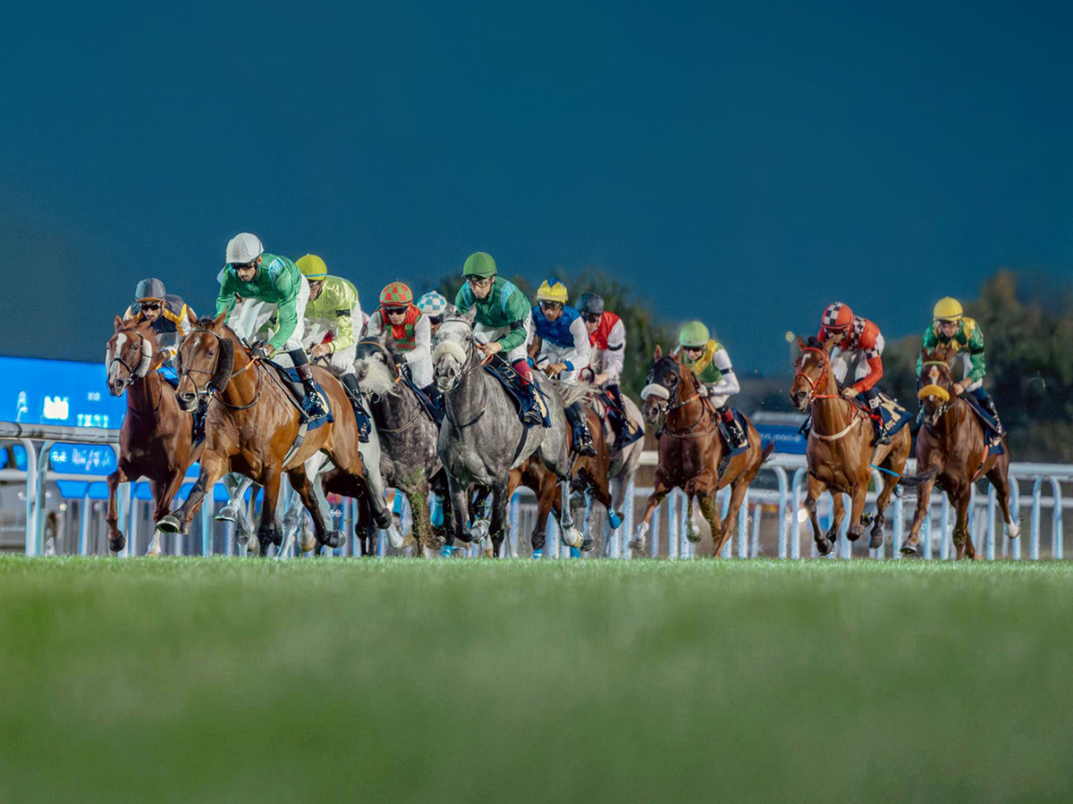 The Garden: Race Meeting 15th – National Vitamin C | 4 April