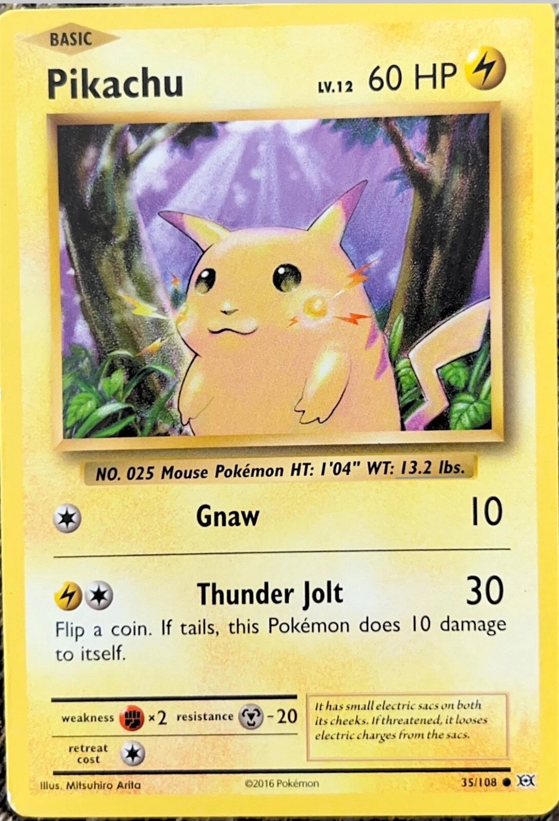 Collectors Go Wild Over Fat Pikachu Cards